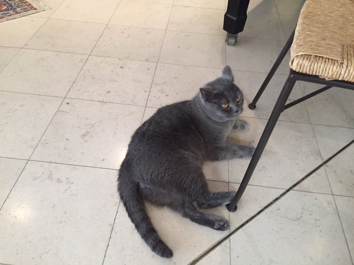 Great tasting at #Gatinois in #Aÿ with Louis Cheval-Gatinois.  Such a great range of pure Aÿ Champagne and the 2009 is a bright berry filled wonder.