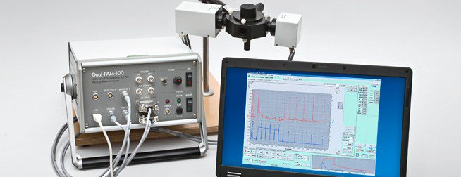 DUAL-PAM-100 P700 & Chlorophyll Fluorescence Measuring System bayinstruments.com/store/walz-equ…