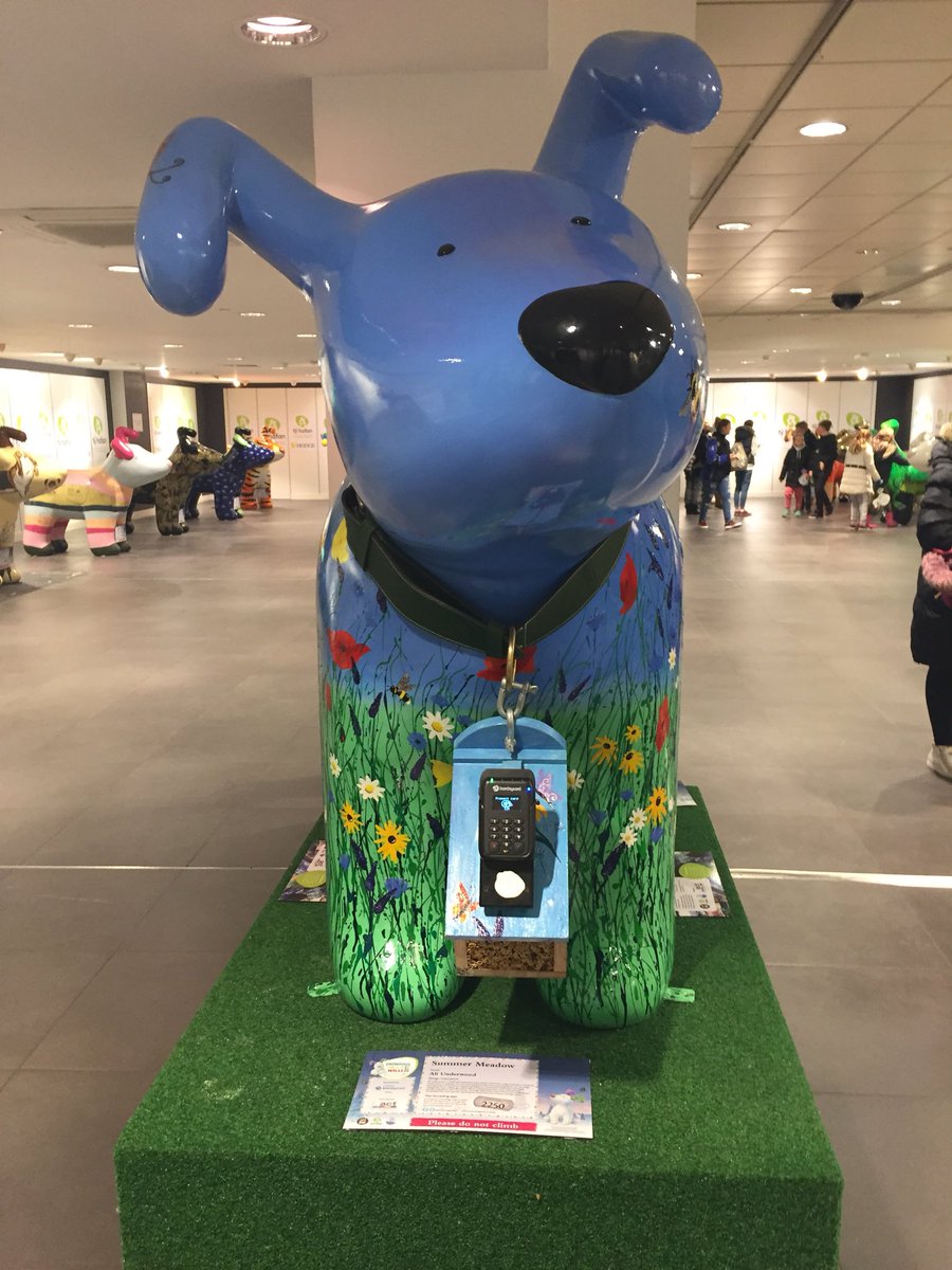 SumMeadSnowdog's tweet photo. I’m around this weekend for the @SnowdogsWales finale weekend, tickets are still available. Pop along to see me (and my friends), make a contactless donation, sponsored by @BcardBusiness, powered by @payworks https://t.co/VRJH1GIFXM