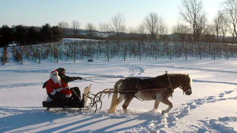 mdancerwinery's tweet image. Have you checked this out? conta.cc/2AxQPko