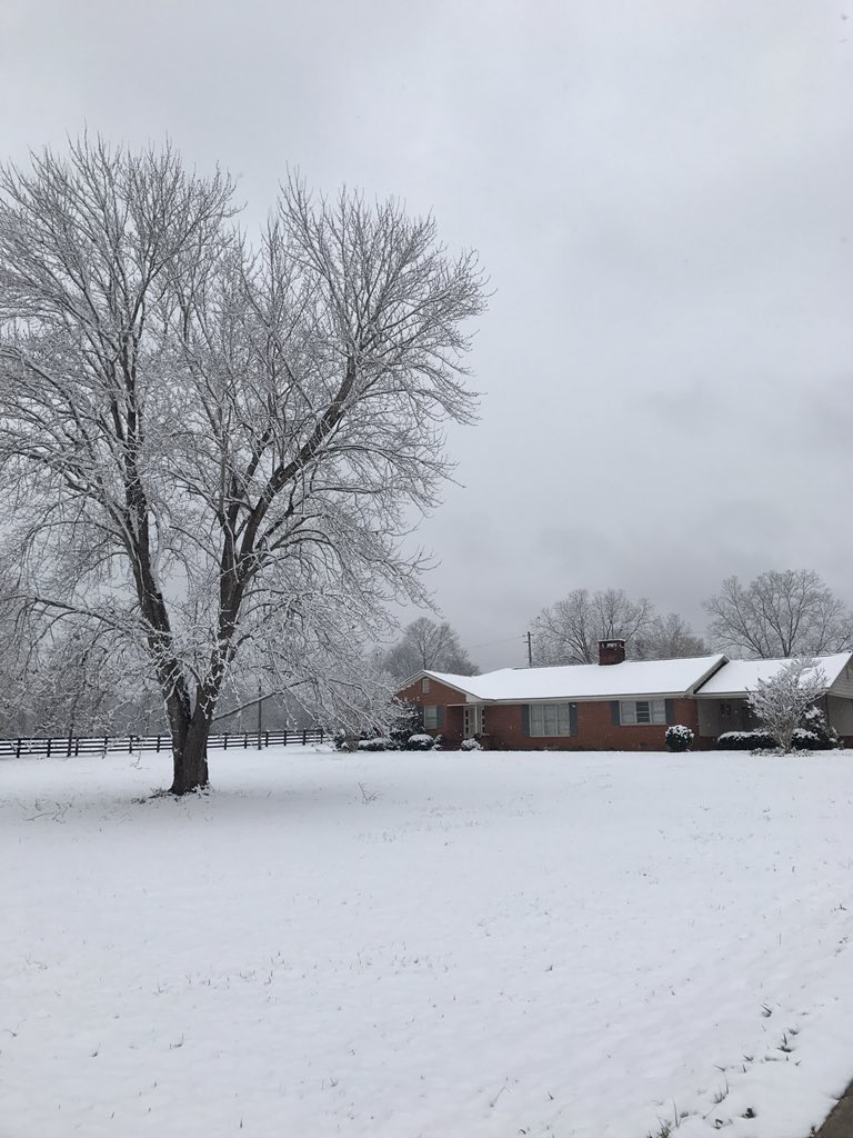 Janet Lewis tweet media