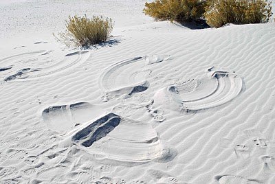 sugarloafapart's tweet photo. #ilovefl Will you be making sand angels this weekend? https://t.co/GLR27yup0C