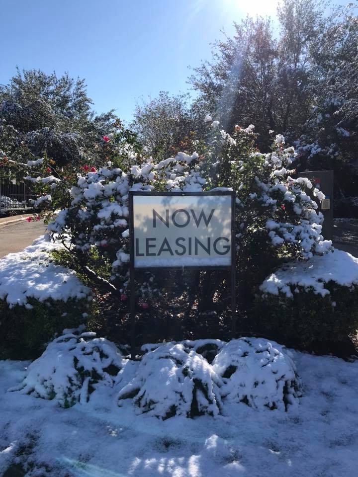 ParkHillSM's tweet photo. #ParkHill #SMTX #SMTXperience #SanMarcos #Texas #SanMarcosTX #SouthTexasSnowfall #SanMarcosTexas #Snow #SnowDay #NowLeasing #LoveWhereYouLive https://t.co/T2k6aU7RCF
