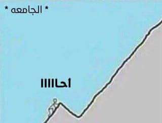 alaamansour66's tweet photo. https://t.co/p5MJdotfi7
