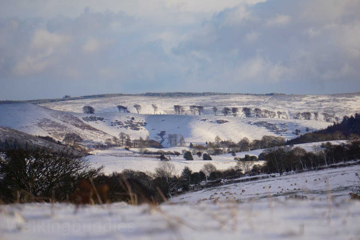 ShropshireWay tweet picture