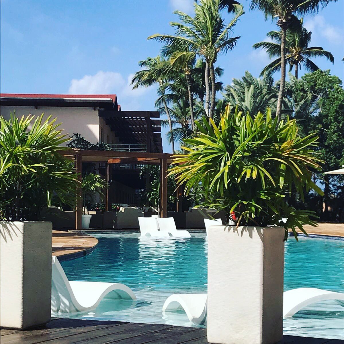 It’s Friday and we’re relaxing at the Divi Aruba All Inclusive Poolview building! ☀️