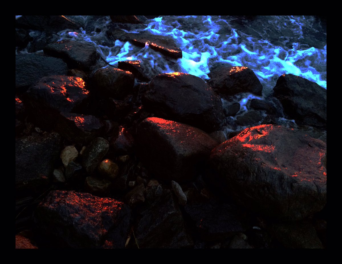 Steph Mizgala tweet media