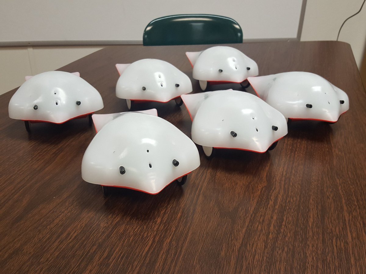 marybbishop's tweet photo. Finch Robot army is here for my Winter Coding Club for 4th/5th graders!  Thanks to Community Foundation for the Gifts for Ed Grant!  Thanks to principal Hollenbeck for making the 6th robot possible!  @Waverley_ES @birdbraintech @scratch @ScratchEdTeam @NMcGaughey55 https://t.co/lAMf4Qyn00