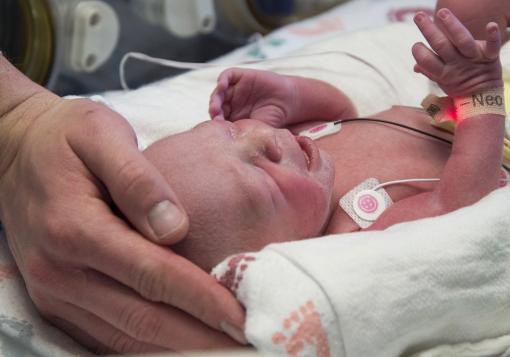 WNGdotorg's tweet photo. #Relations First U.S. baby born from transplanted womb: The success raises serious ethical concerns https://t.co/JinBe0cJc9 @KileyCrossland https://t.co/4gW7bkwUY7