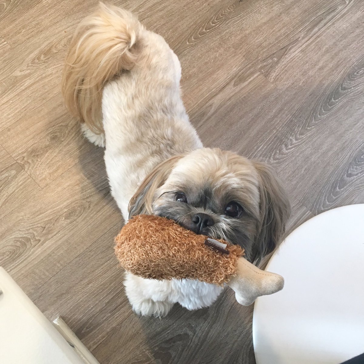 LardonCanada's tweet photo. 🍗 https://t.co/z1NC57IKVp