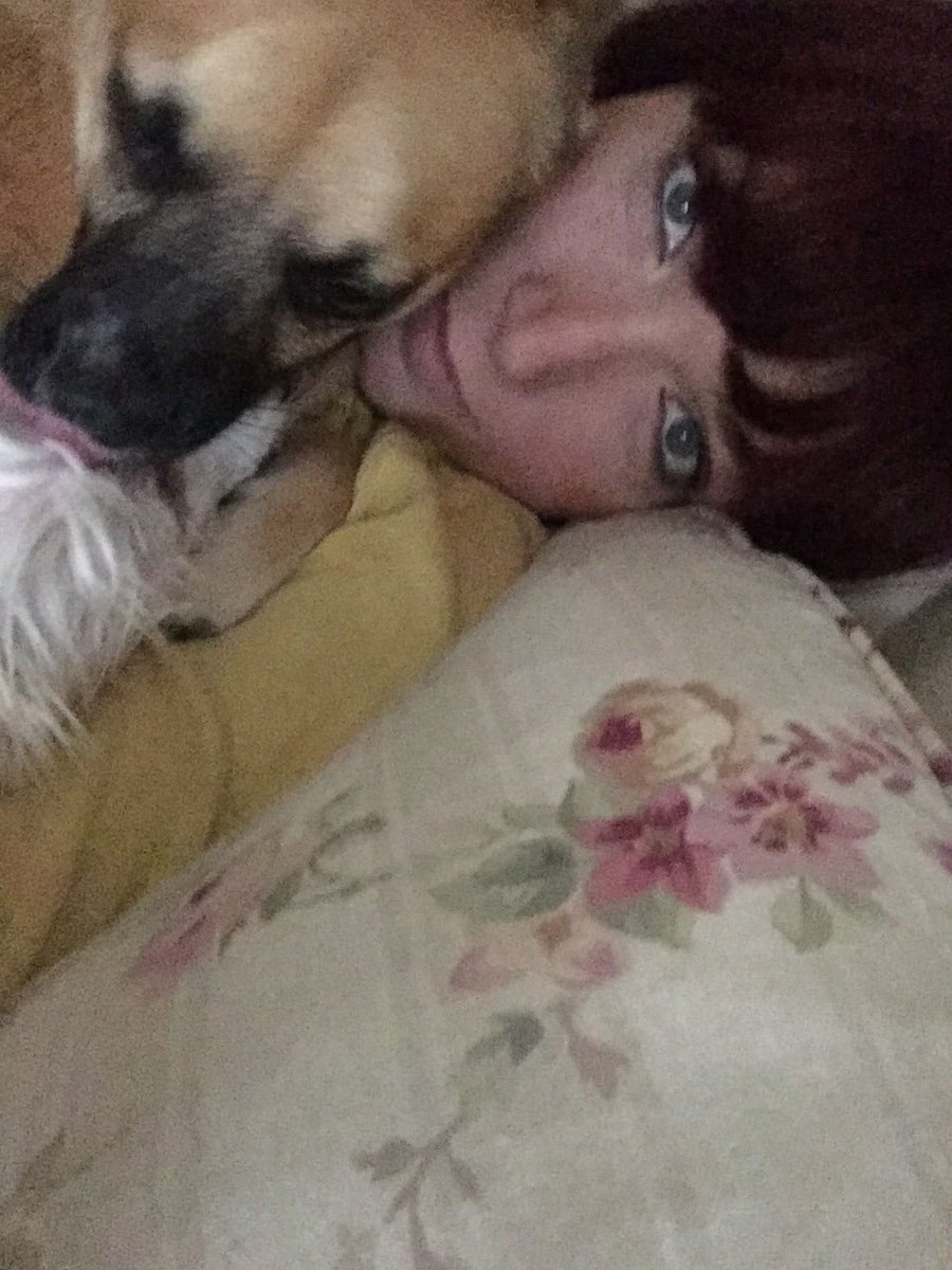 RiddSarah's tweet photo. #puppy#love https://t.co/y8RkNt71by