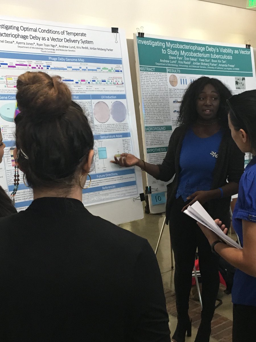 #MIMGPosterDay is happening now! #mimg103L students presenting their #phage #UndergraduateResearch <a href="/MIMG_UGLabs/">MIMG Undergrad Labs</a> <a href="/phagesdb/">phagesdb</a>