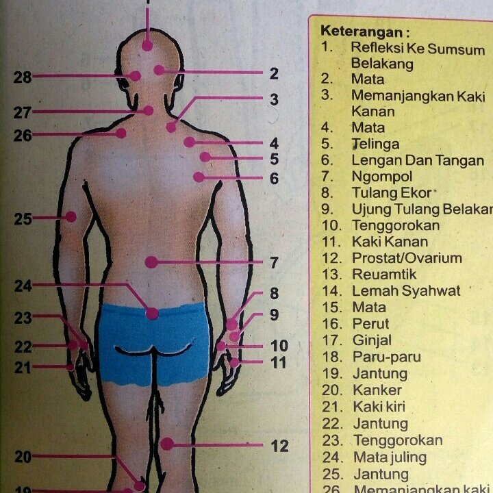 Refleksi Tangan Pdf