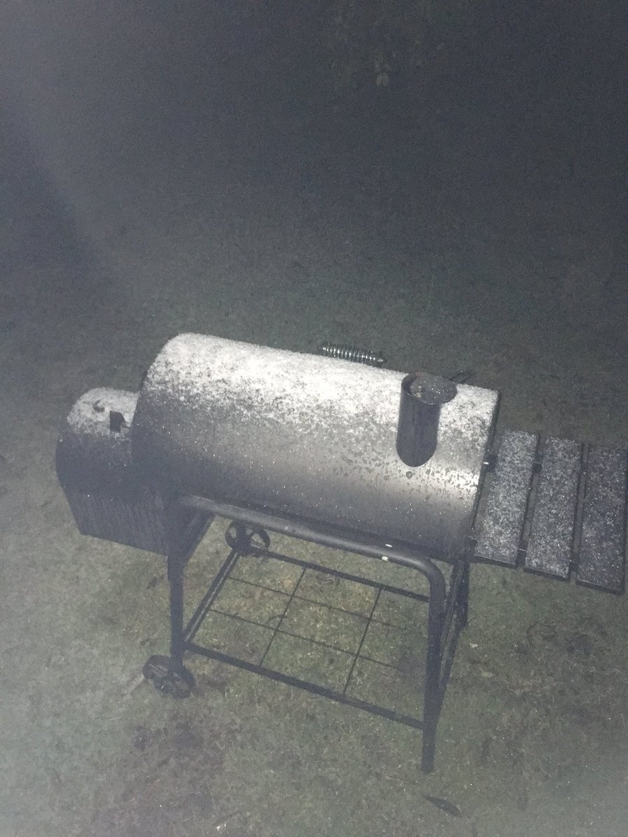 asfchic's tweet photo. ❄️ in South Alabama! https://t.co/8WU3hF4bKr
