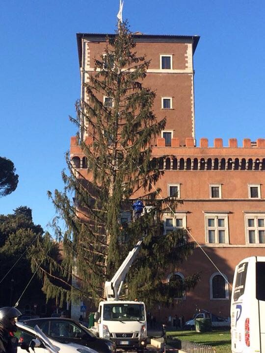 Uno #Spelacchio è per sempre 😂