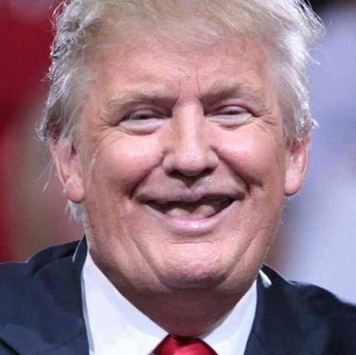 AntiTrumpBlog's tweet image. Trumpsters