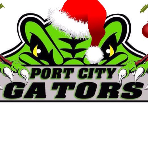 Gators Ball Hockey tweet media