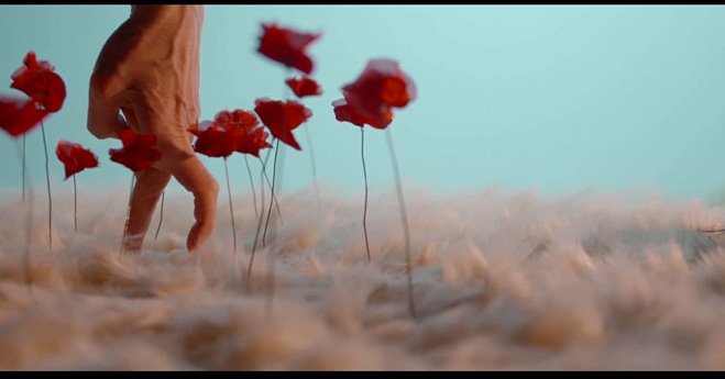 Cold Blood #nanodance #cdnSartrouville #collectifkissandcry
Un spectacle bouleversant.....