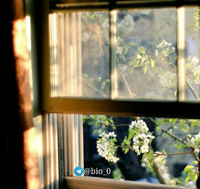 @| اللهم إنّا نسألُك يومآ ،
 يتجلّى فِيه لطفك ويتسع ،
فِيه رزقك وتمتدُ فِيه  عافيتُك ،
ونستفِتح فِيه برحمتِك ..
..
           صباح الخير 💐