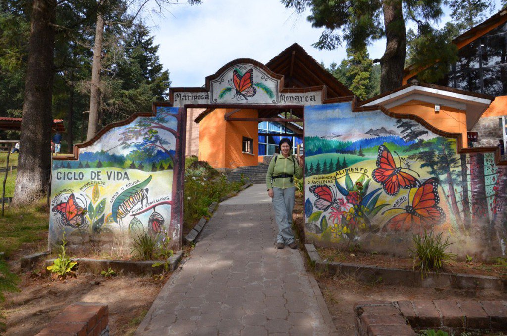 MexicoInsure's tweet image. After you block out a travel period, it is important to secure your Mexico insurance at MexicanInsuranceStore.com.  bit.ly/2AoaYdV