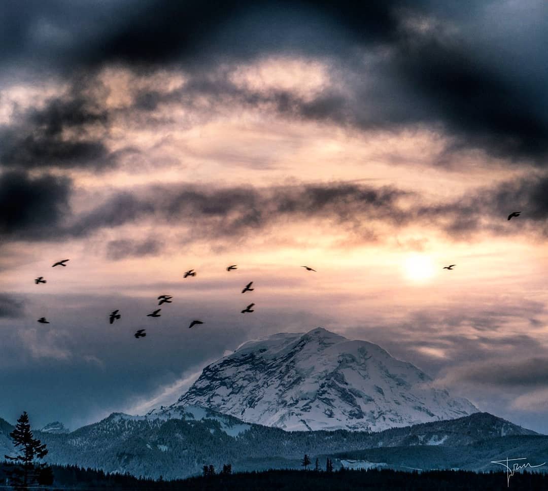 Hey RW community, it's been a great week for Rainier watching! 🙏 Hope you all have had as much as us at RW HQ. #RainierWatch Sharing another photo of The Mountain as seen from Buckley, WA. ❤ 📷 by RW member thelongroadhome_ (on IG)