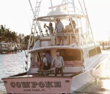 TCPalm's tweet photo. Cowpoke leads Light Tackle Sailfish Tournament after first day with cold weather on the way #TCfishing https://t.co/xqwfxSjJdx https://t.co/RVRqki6yO0