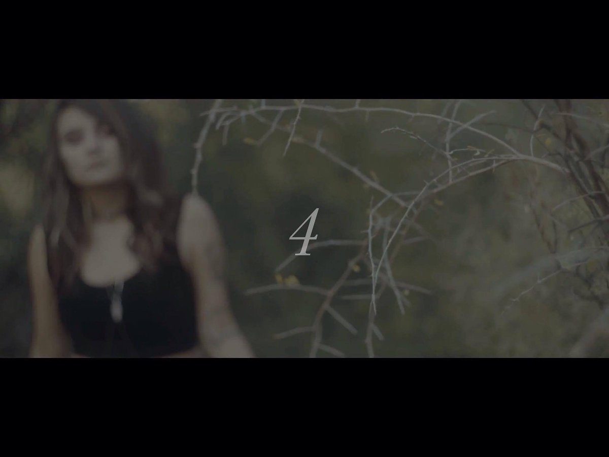 Eclipses For Eyes tweet media