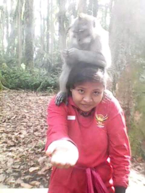 Disake bali