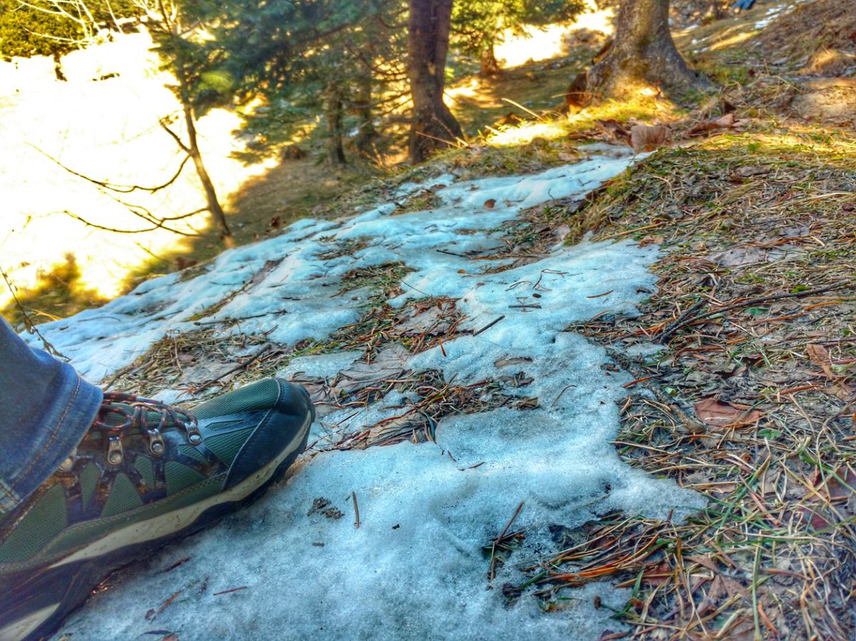 BunnyPunia's tweet photo. All the grip that you want while hiking in the hills for white magic aka snow! Shot yesterday above #manali with @wildcrafttweet Gabbro shoes #wildcraftwilding #Readyforanything #solotrip #himachal https://t.co/ueG1qShbYr