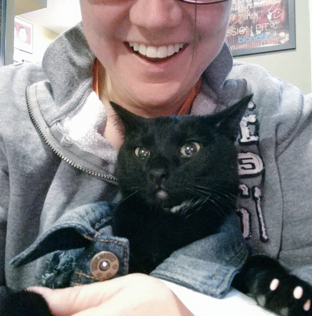 ReallyJustSam's tweet image. My cat is damn cool. #CoolCat #JeanJacket #CatDressUpFridayNightParty