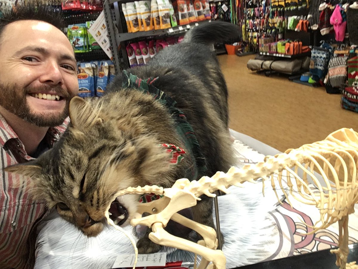 AwakenBoulder's tweet photo. Hanging out with my buddy Harvey at Only Natural Pet in Boulder.
#animalchiropractic #chiropractic #pet #veterinarychiropractic #holistic  #chiropracticadjustment #animals #alternative #natural #dog #cat #canine #feline #health #Boulder #doctorspine https://t.co/oCotlOkuJe