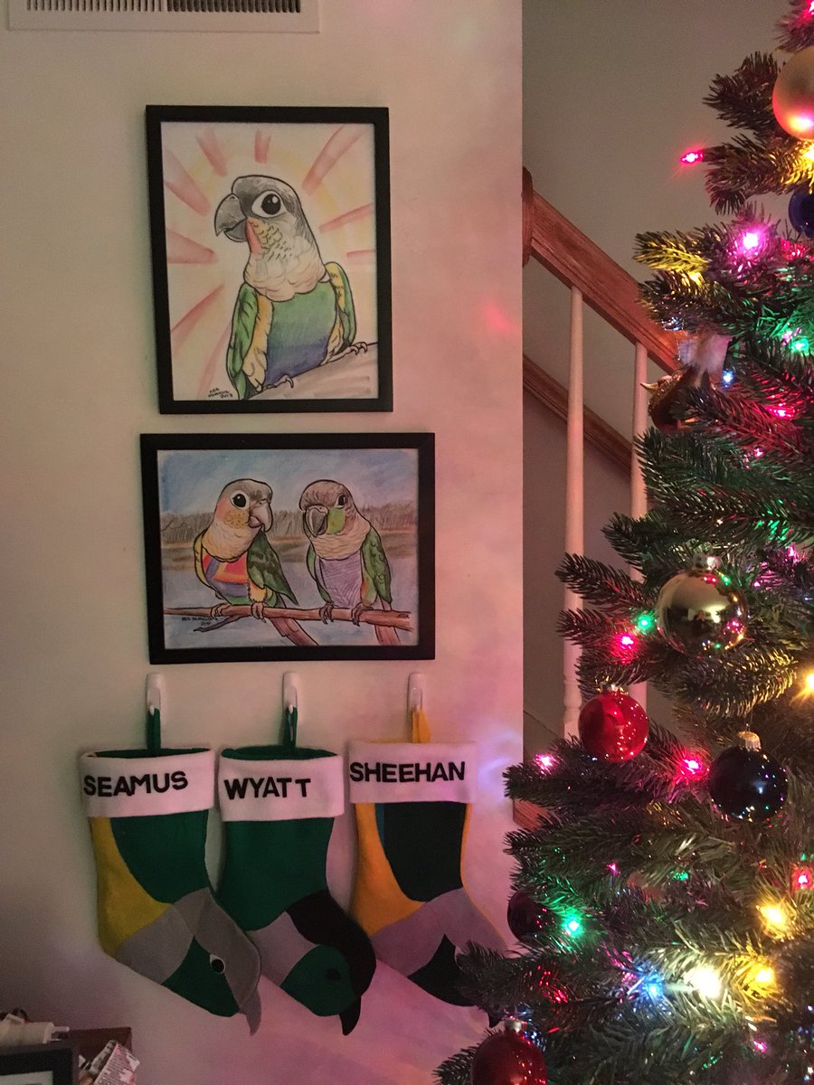 The stockings are hung... I’m still represented & am watching over my brother @Wyatt_Riotgc & nephew @SheehanGCC 💚💚