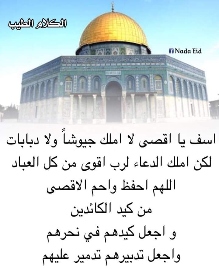 wael hamdy (@waelhamdy2010) on Twitter photo 