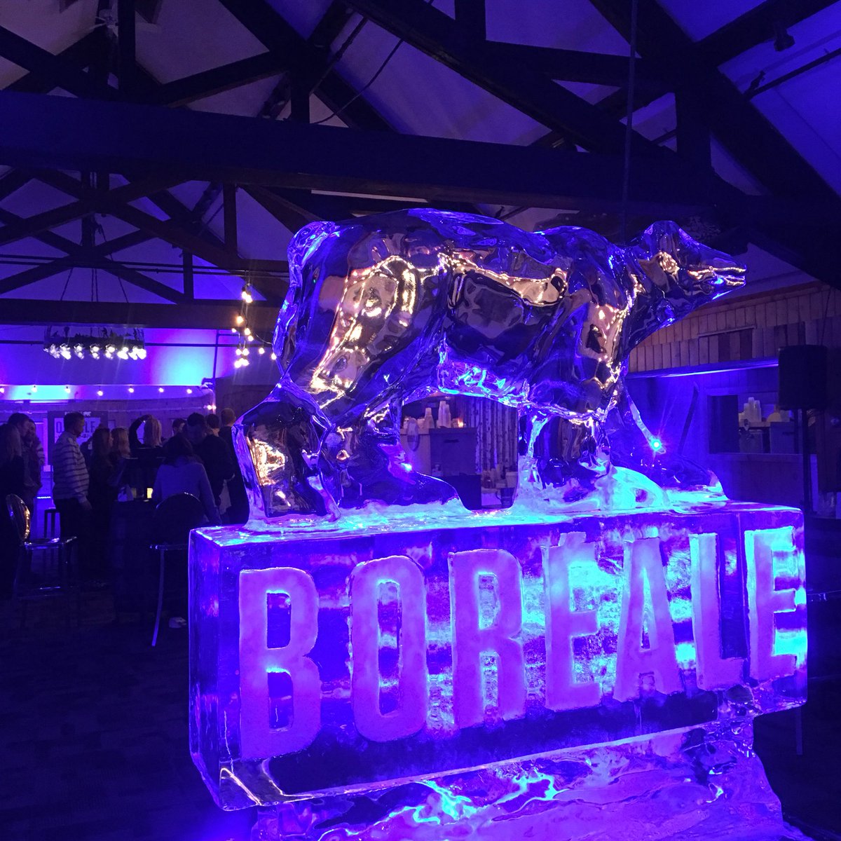 C’est parti pour le party Boréal! On t’attend au Chalet des voyageurs pour toute une soirée!