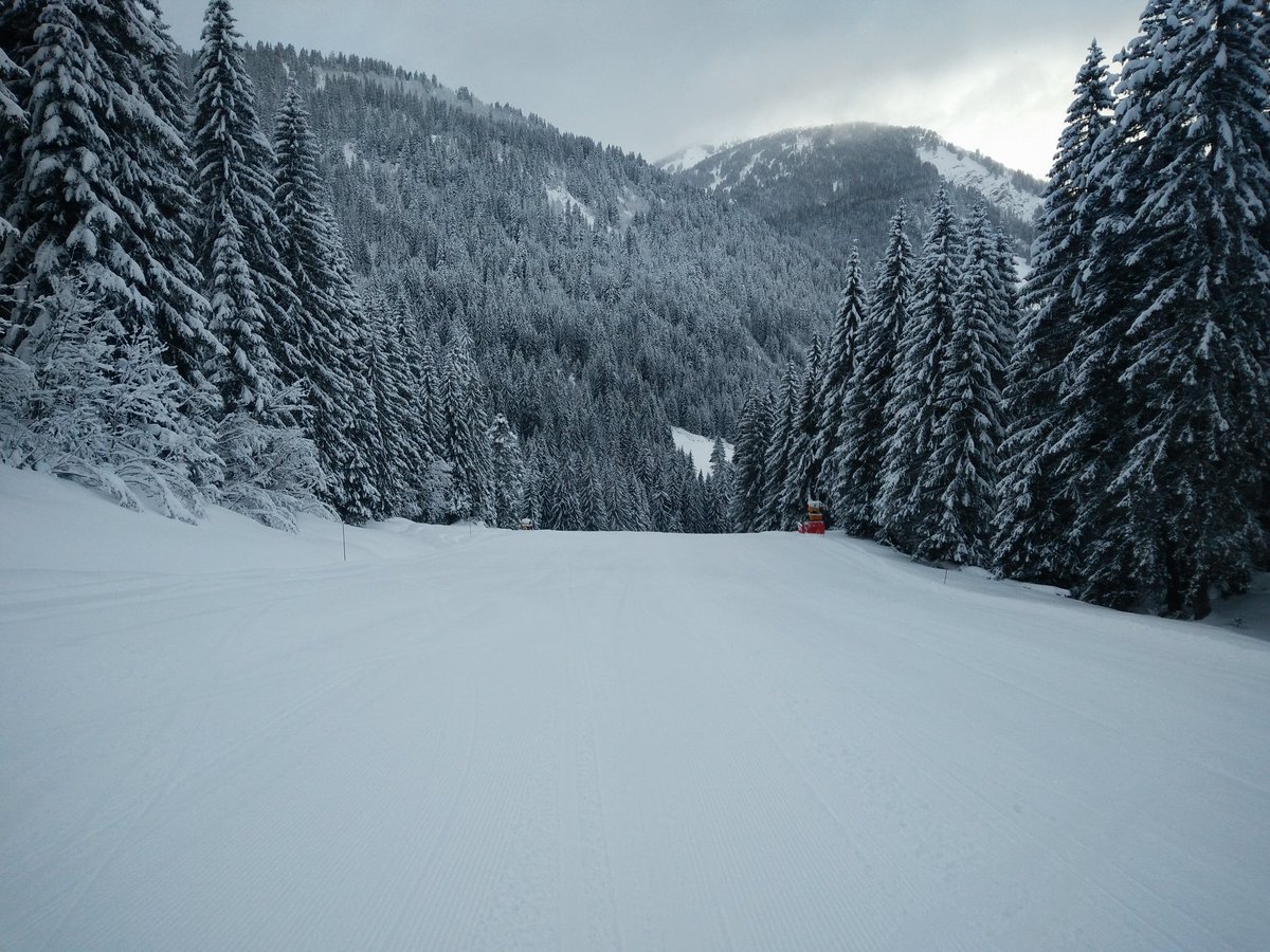 Absolute_Alps's tweet image. Fresh corduroy, empty piste. 😁 #chatel #portesdusoleil
