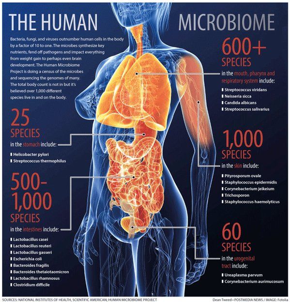 Our #microbiome is sometimes called the 'forgotten organ'. It's an integral part of who we are, it does loads of important sh*t! 😂💩😉

#guthealing #microbiome #weightloss #mentalhealth #autoimmune