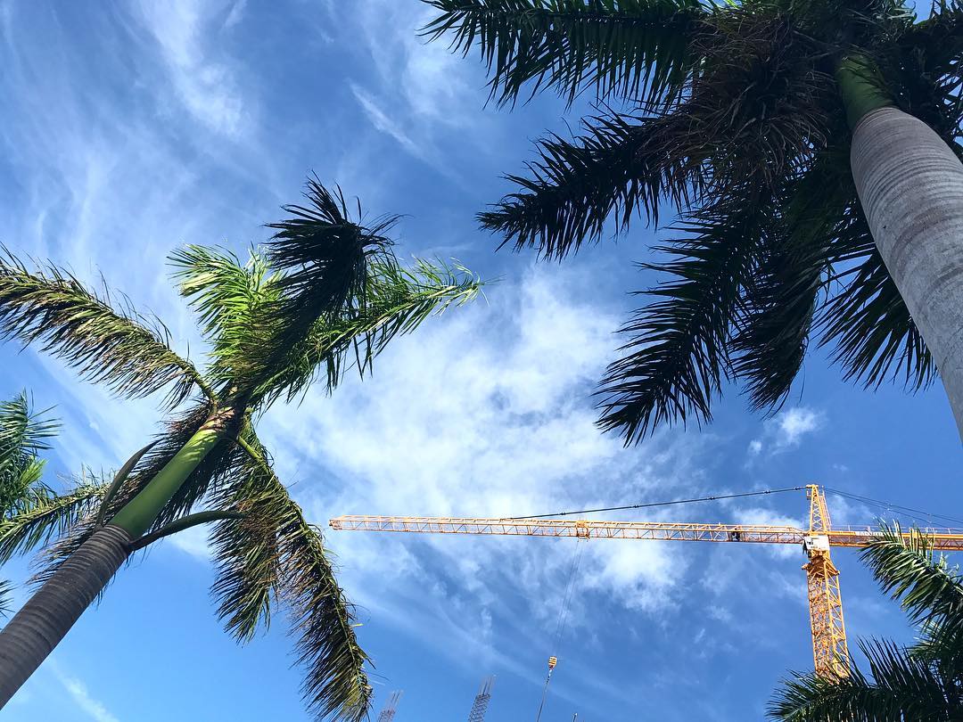 ˗ˏˋ ❪ Miami RP ❫ ˎˊ˗

¡Hᴇʏ ᴛᴜ́!, ¡sɪ ᴛᴜ́!, ¿ᴇsᴛᴀ́s ʟɪsᴛᴏ ᴘᴀʀᴀ ᴠɪᴠɪʀ ᴜɴᴀ ɴᴜᴇᴠᴀ ᴠɪᴅᴀ ᴇɴ Mɪᴀᴍɪ?

Ｒｏｌ Ｒｅａｌｉｓｔａ 

⇥ʟᴏs PB's sᴏɴ ʟɪʙʀᴇs, ᴘᴇʀᴏ ɴᴏ sᴇ ᴀᴅᴍɪᴛᴇɴ ᴅɪʙᴜᴊᴏs ᴀɴɪᴍᴀᴅᴏs 
⇥Bᴜᴇɴᴀ Oʀᴛᴏɢʀᴀꜰíᴀ

✨¿RT? Se agradecería