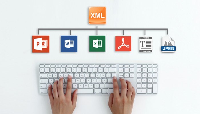 saivionindia's tweet image. #XMLConversionServices for convert documents to XML format such as convert #PDF to XML, convert #HTML to #XML, ms word to XML, convert text to XML conversion at affordable rates. bit.ly/2yQmFr6