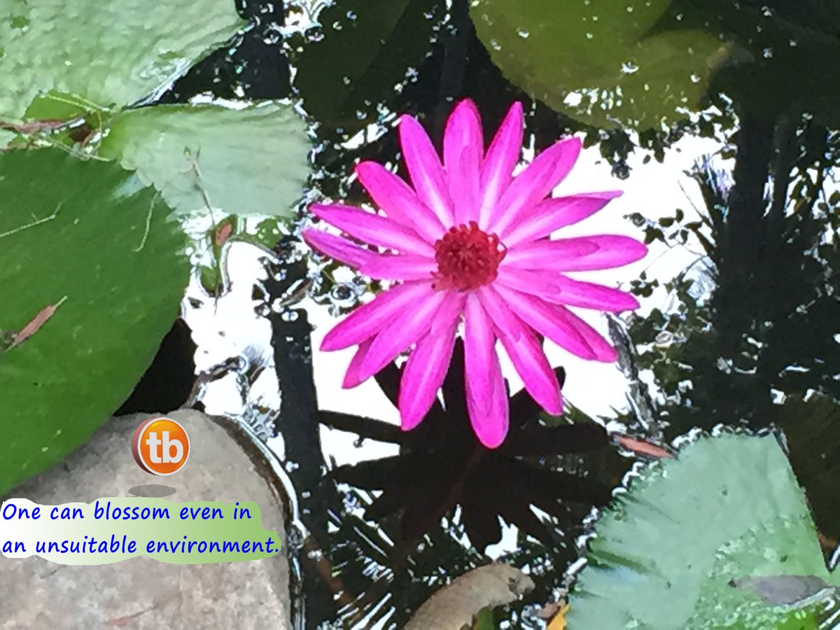 Trackerbuttons tweet media