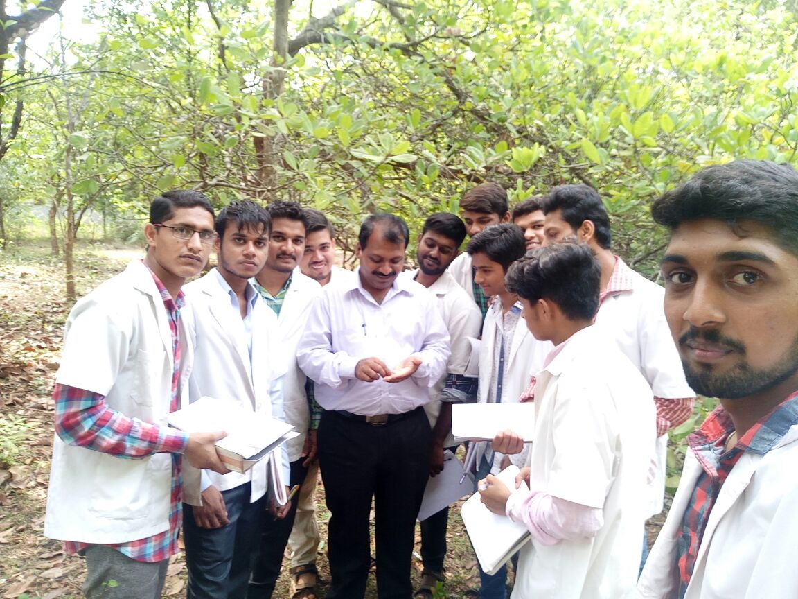sorab98's tweet photo. Take care of medicinal plants..they will take care of u https://t.co/tSZsZ9YJ8I