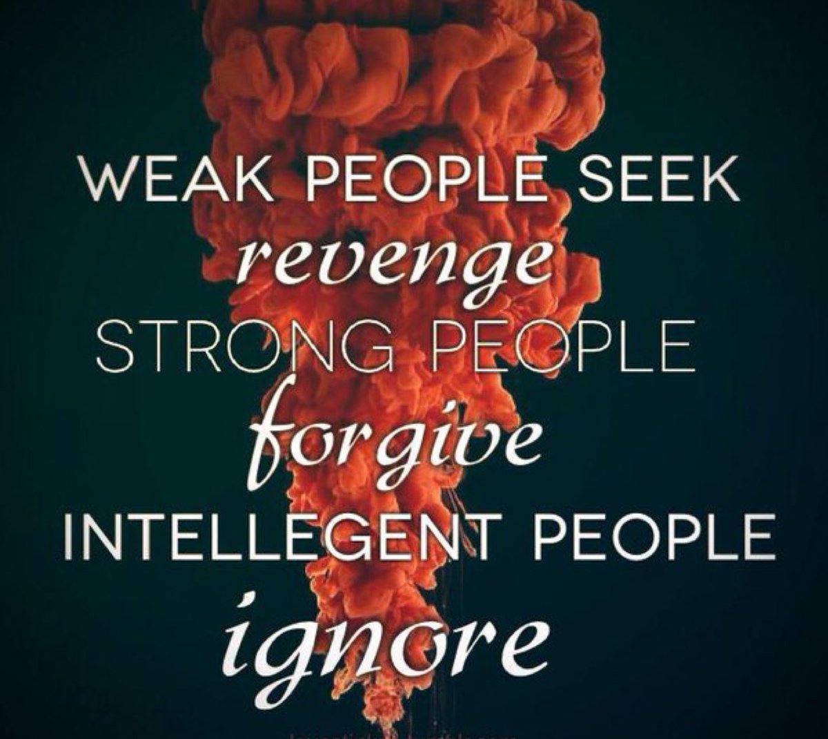 carlaacarlson's tweet image. #revenge  #forgiveness #learnToIgnore
