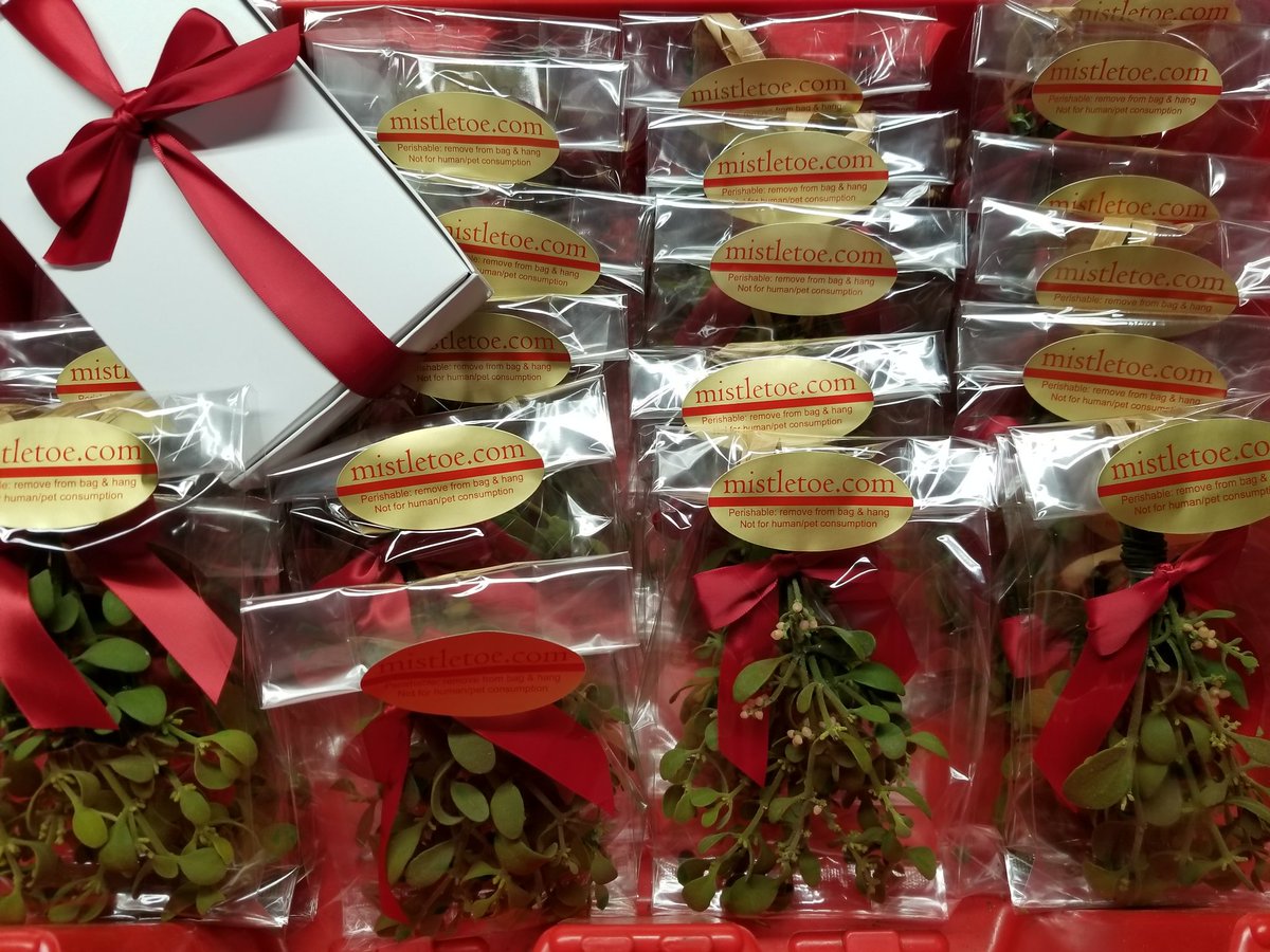 Time to get #underthemistletoe Get 10% Off #mistletoe at mistletoe.com
Use promo code GetKissed17