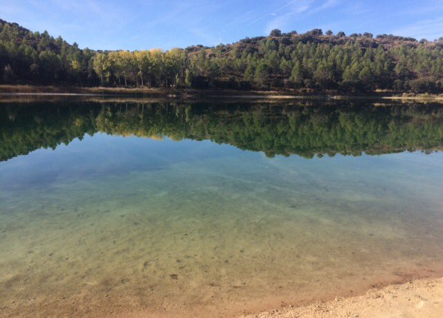 eliodesol's tweet photo. #laslagunasderuidera #ossademontiel #nature #love #dogo #elispitafeliz https://t.co/ugL7M9nHK3