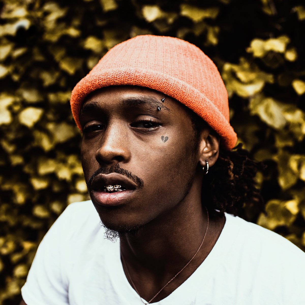 TG Quay (@__QUAY) | Twitter