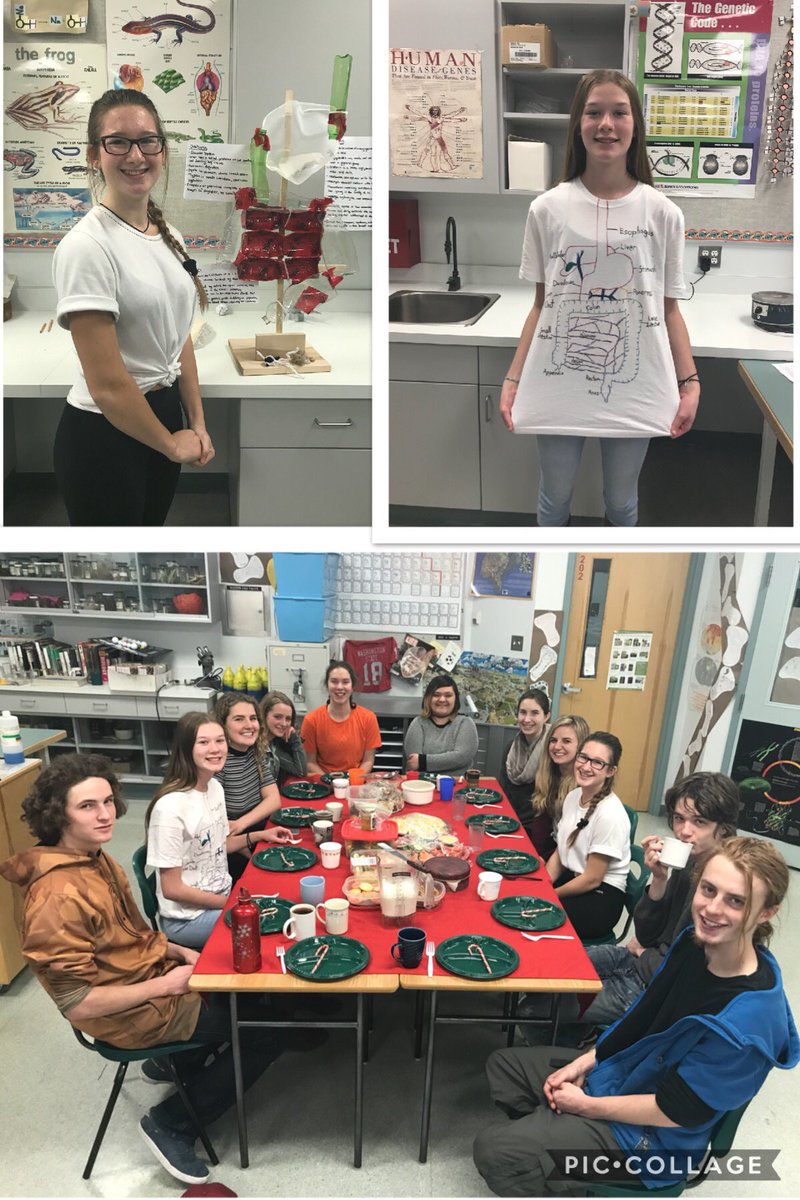 kathi knapik tweet media