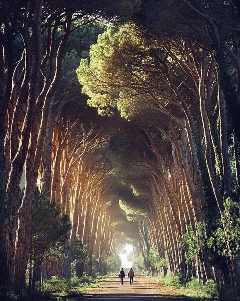 Con questa bella foto di <a href="/maxlazzi/">Max lazzi</a> oggi andiamo alla scoperta del Parco Naturale di Migliarino San Rossore che si estende dalla provincia di Pisa fino all’inizio della Versilia. Presenta varie tipologie di ambienti naturali ed è in prevalenza un’area bos… ift.tt/2nJ83Xj