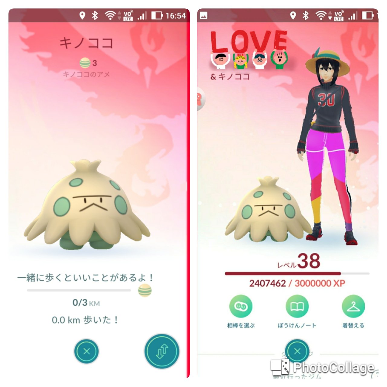 キテルくまこ 4 23go実装 キノガッサに期待して キノココを相棒にしました Pokemongogen3 ポケモンgo 第三世代 キノココ アイポケ 相棒ポケモン T Co Oaxmtvovoi Twitter