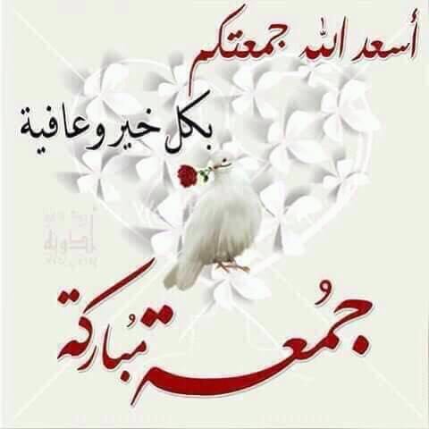 Restaurant 101 tweet media