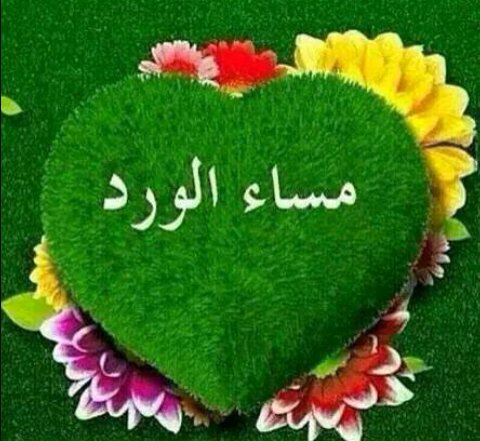 N9anhDqnu0rSBYX's tweet image. مساؤكم  يسر  لا  يتبعه  عسر 
وفرح  يملأ  قلوبكم 
وقلوب  من  تحبون 

#مساء  رائع  كروعة  قلوبكم