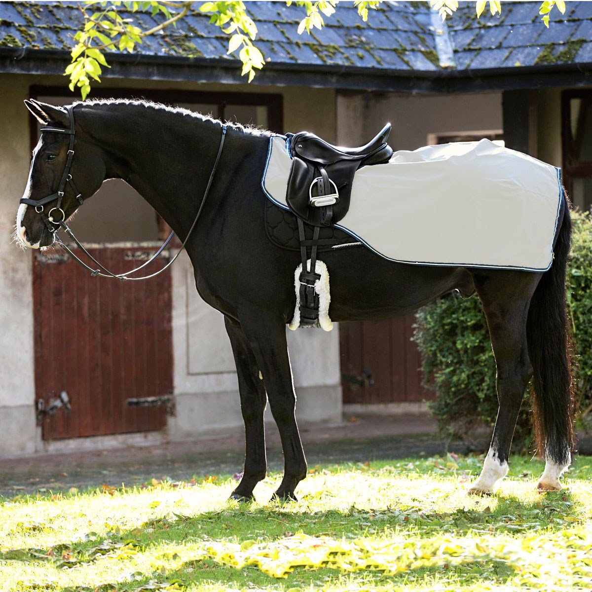 RedpostEq's tweet photo. This limited edition reflective sheet by Rambo uses the latest in reflective technology and offers protection from the elements: https://t.co/RbQEZ4c2uQ #redposteq #horseware #rambo https://t.co/dnH6mNRbdq